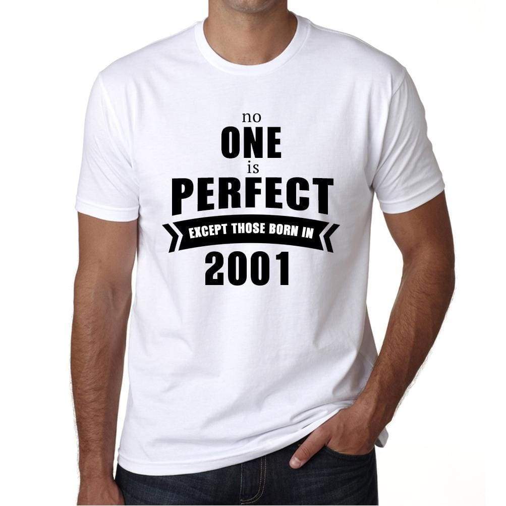 2001 No One Is Perfect White Mens Short Sleeve Round Neck T-Shirt 00093 - White / S - Casual