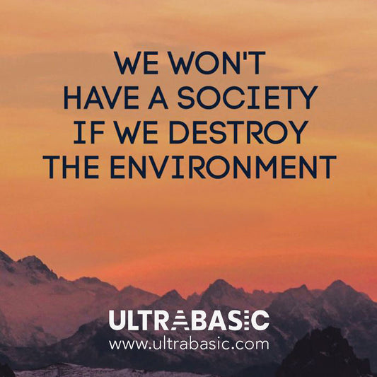 If we destroy the environment