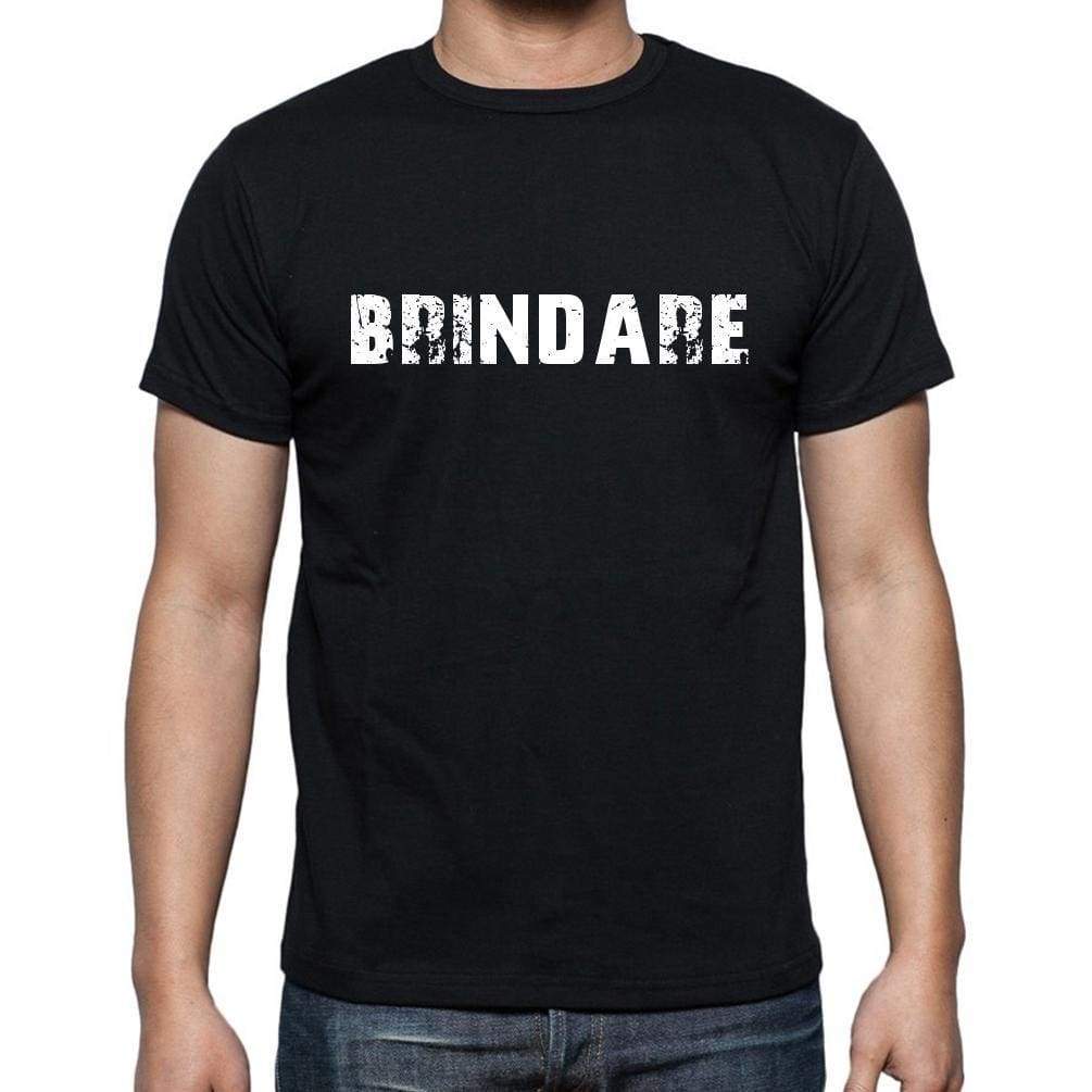 Brindare Mens Short Sleeve Round Neck T-Shirt 00017 - Casual