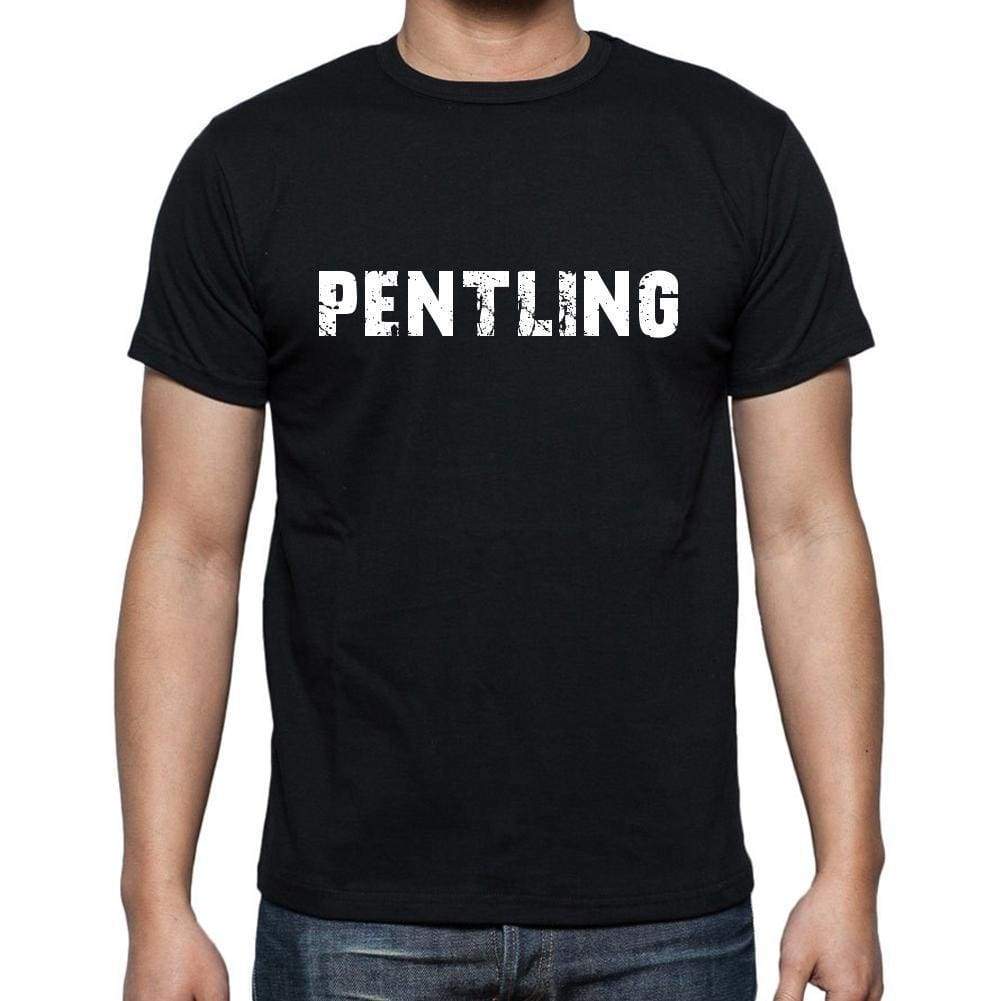 Pentling Mens Short Sleeve Round Neck T-Shirt 00003 - Casual